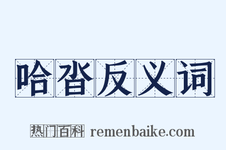 哈沓反义词是什么意思的图片